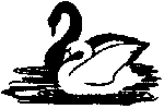 Swans