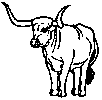 Bull