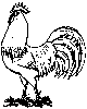 Rooster